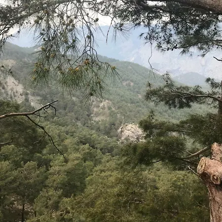 Yenivadi 木屋