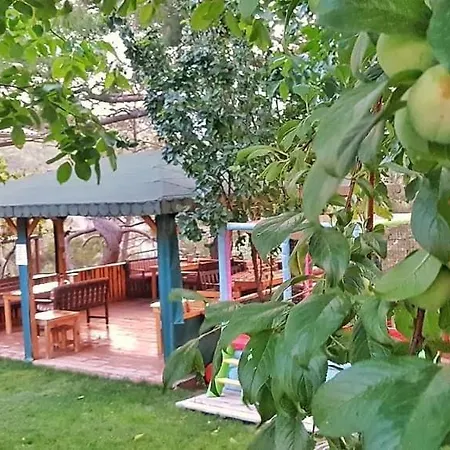 Yenivadi בקתה *