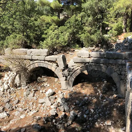 Yenivadi בקתה