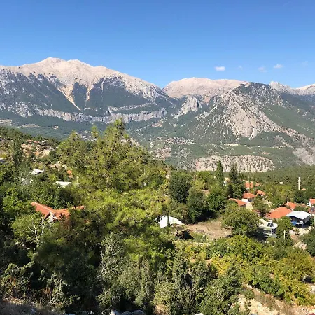 Yenivadi בקתה *